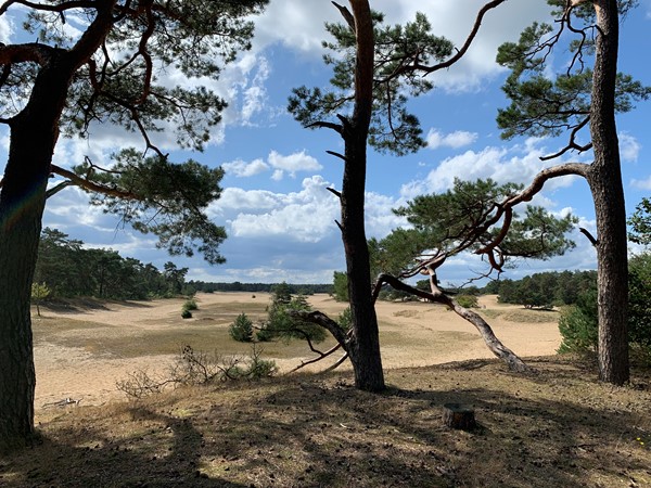 Medium property photo - Verlengde Haerderweg 5G5, 8085 RJ Doornspijk